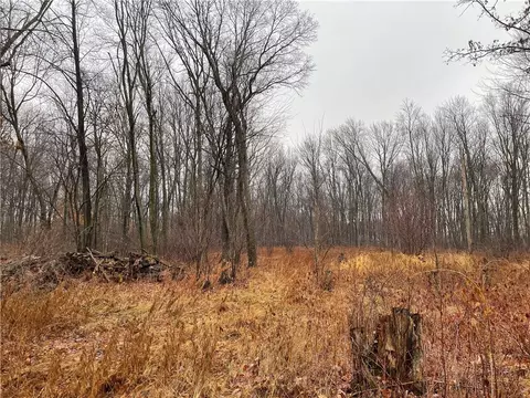 0 160th Ave, Bloomer, WI 54724