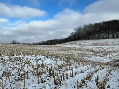 0 County Road Nn, Independence, WI 54747 photo 33