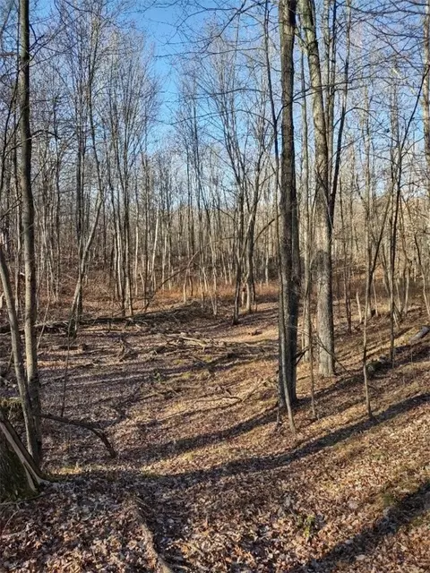 n8965 Pretty Road, Springbrook, WI 54875 photo 8