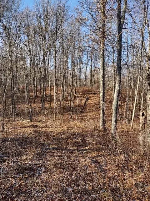 n8965 Pretty Road, Springbrook, WI 54875