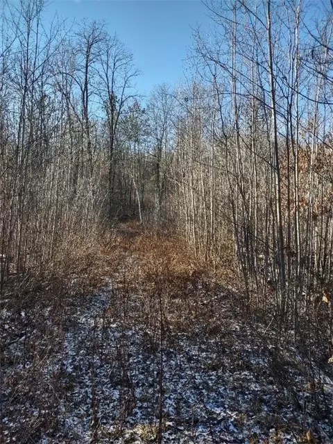 n8965 Pretty Road, Springbrook, WI 54875 photo 12