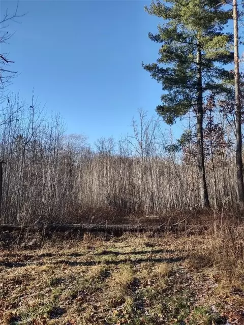 n8965 Pretty Road, Springbrook, WI 54875 photo 18