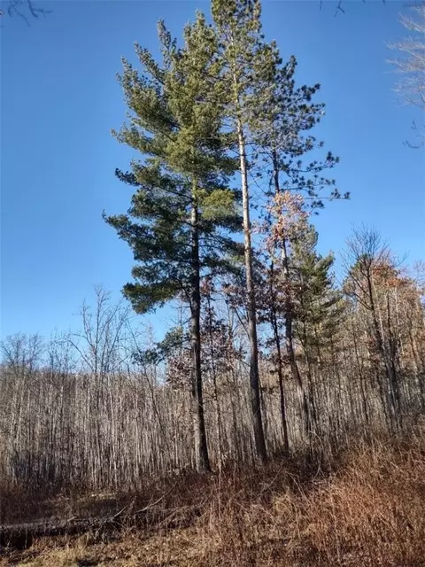 n8965 Pretty Road, Springbrook, WI 54875 photo 17