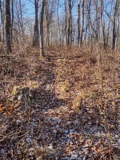 n8965 Pretty Road, Springbrook, WI 54875 photo 11