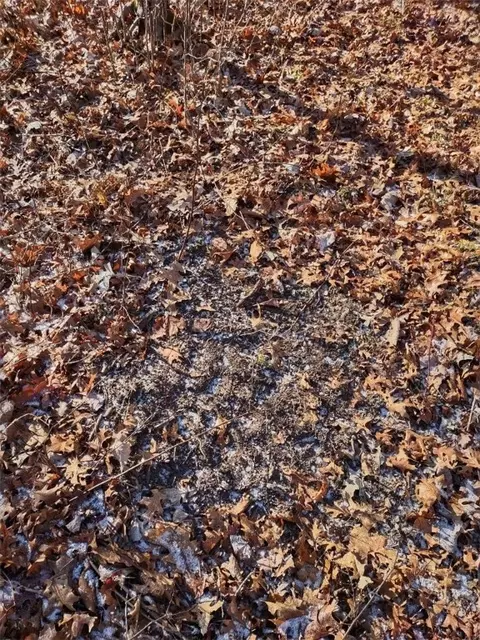 n8965 Pretty Road, Springbrook, WI 54875 photo 6