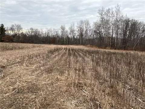 0 340th Ave, Frederic, WI 54837 photo 16