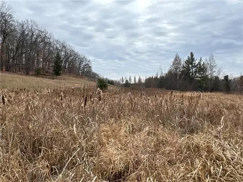 0 340th Ave, Frederic, WI 54837 photo 19
