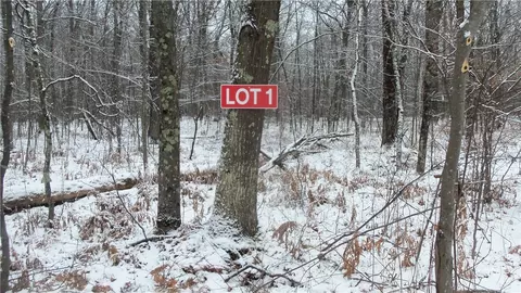 Lot 1 Blackberry Rd, Trego, WI 54888