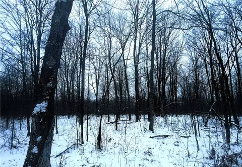 40 Acres Off Deer Path Rd, Jump River, WI 54766