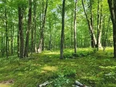 lot100 Setting Sun Ct, Danbury, WI 54830