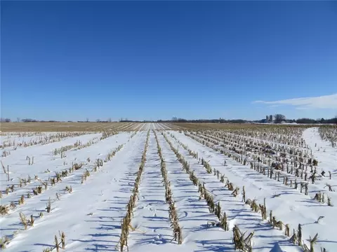 Nnn N Tieman Avenue, Thorp, WI 54771