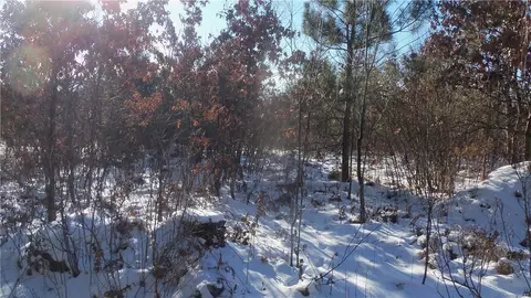 lot S 1112 Pine Tree Trl, Springbrook, WI 54875 photo 7