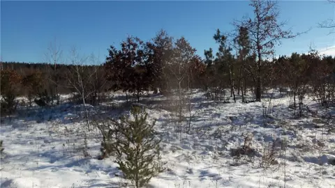 lot S 1112 Pine Tree Trl, Springbrook, WI 54875 photo 3