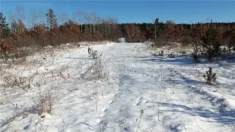lot S 1112 Pine Tree Trl, Springbrook, WI 54875 photo 2