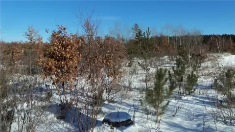 lot S 1112 Pine Tree Trl, Springbrook, WI 54875