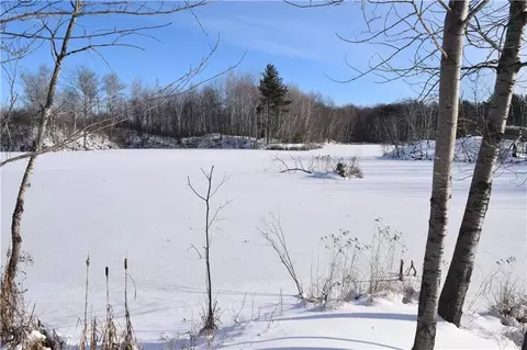Nnnn County Road N, Arpin, WI 54410