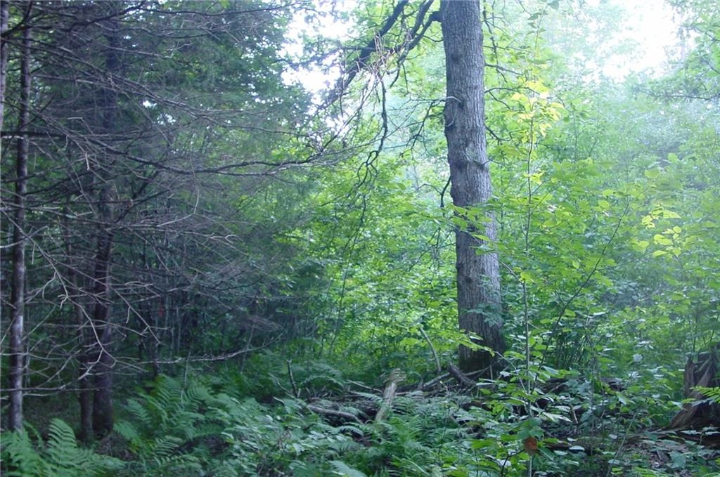 40 Acres On Fedyn Rd  