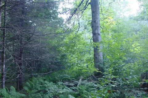 40 Acres Fedyn Rd, Ladysmith, WI 54848