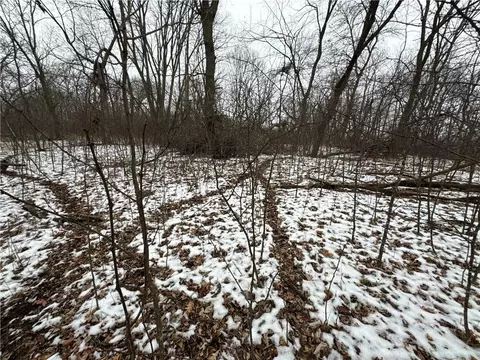 Nn Evergreen Ave, Cushing, WI 54006 photo 22