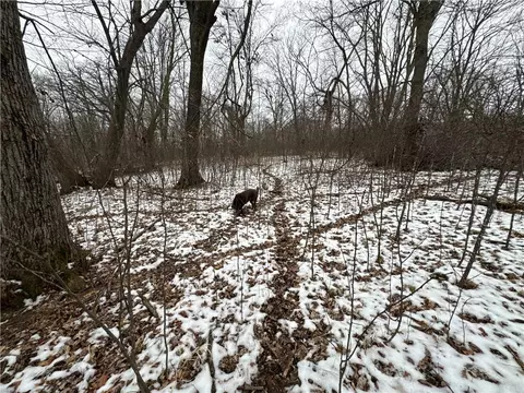 Nn Evergreen Ave, Cushing, WI 54006 photo 21