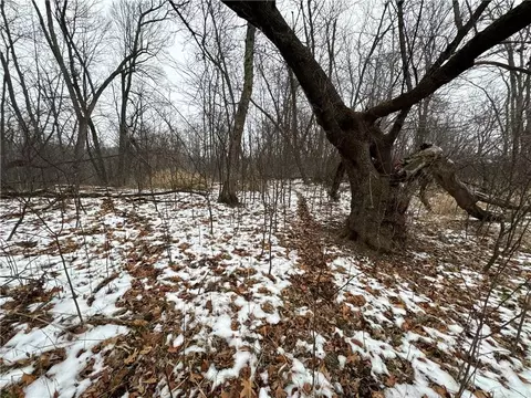 Nn Evergreen Ave, Cushing, WI 54006 photo 26
