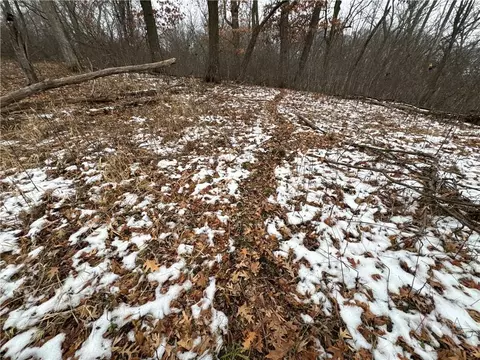 Nn Evergreen Ave, Cushing, WI 54006 photo 27