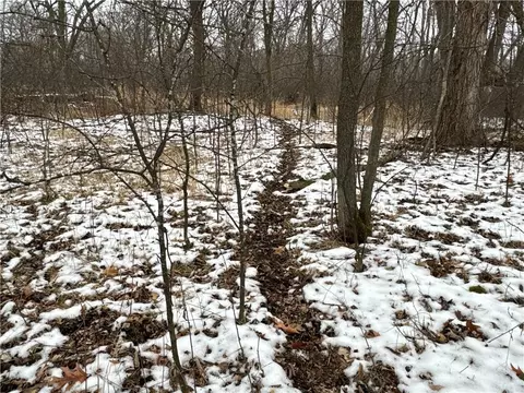 Nn Evergreen Ave, Cushing, WI 54006 photo 23