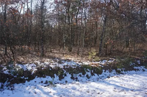 Lot 10 Scotters Trl, Merrillan, WI 54754