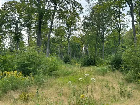 559 02 Acres Hwy T, Dairyland, WI 54830
