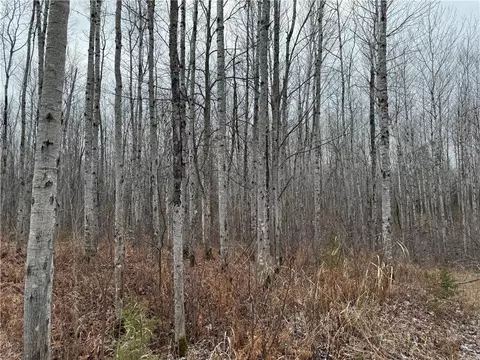 80 Acres Tar Paper Aly, Brule, WI 54820