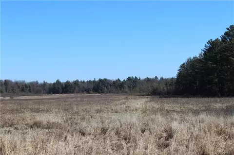 0 Maple Road - 20 Acres, Neillsville, WI 54456