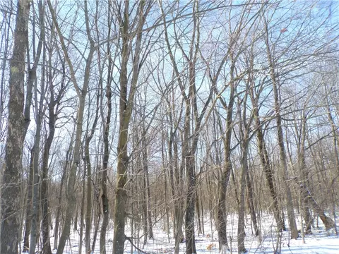 40 Acres St Bridget Dr, Cadott, WI 54727