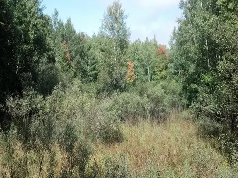 On E Altamont Road, Mason, WI 54856 photo 2