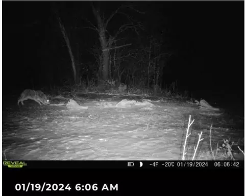 595 18th St, Chetek, WI 54728 photo 22