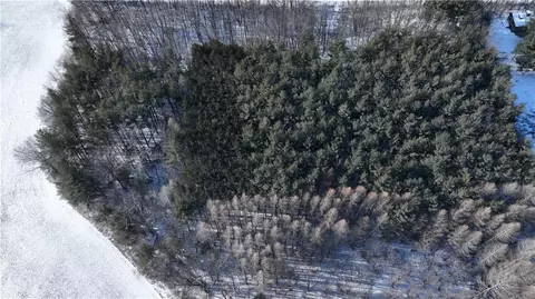 View/Area - 1994 200th St, Centuria, WI 54824 photo 6 of 11