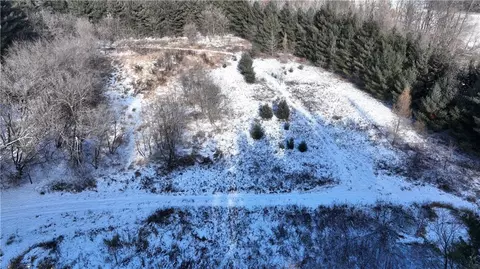 View/Area - 1994 200th St, Centuria, WI 54824 photo 10 of 11