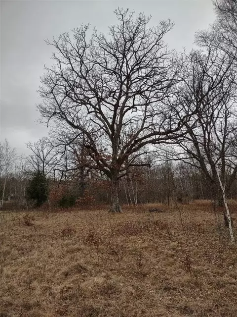 lot16 Nnn 10 14 Ave, Chetek, WI 54728