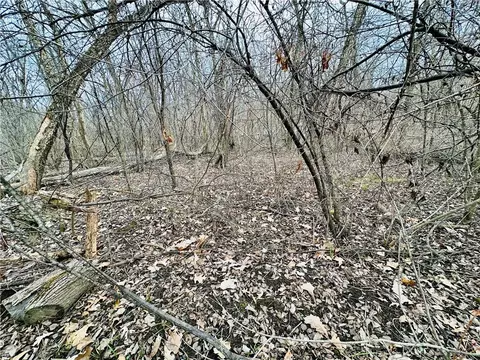 0 22 Acres Sunfish Dr, Trempealeau, WI 54661