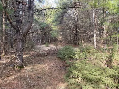 lot7 N Riverside Rd, Cable, WI 54821 photo 2
