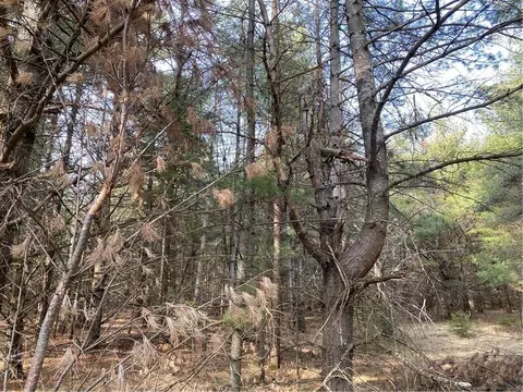lot7 N Riverside Rd, Cable, WI 54821 photo 3
