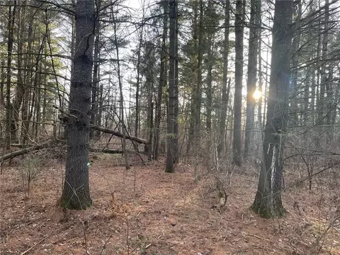 0 Old 14 Rd, Glen Flora, WI 54526