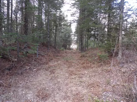 3896 Cicak Rd # W, Loretta, WI 54896 photo 2