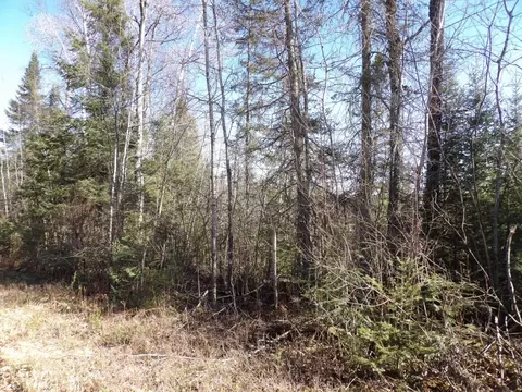 3896 Cicak Rd # W, Loretta, WI 54896 photo 15