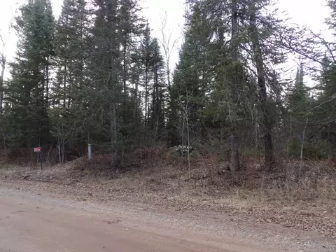3896 Cicak Rd # W, Loretta, WI 54896 photo 14