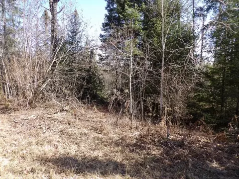 3896 Cicak Rd # W, Loretta, WI 54896 photo 16