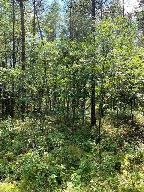 Lot 11 Cash Way, Danbury, WI 54830
