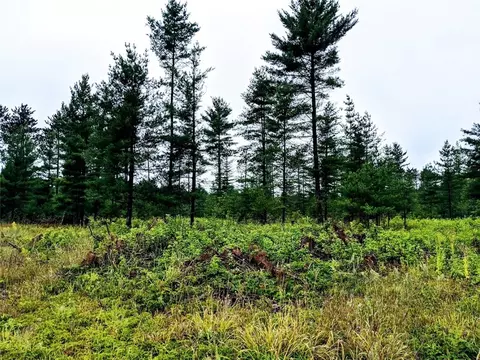 lot2 County Road V, Ridgeland, WI 54763
