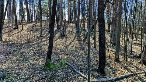00 S Shore Rd, Bruce, WI 54819 photo 19