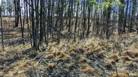 00 S Shore Rd, Bruce, WI 54819 photo 21