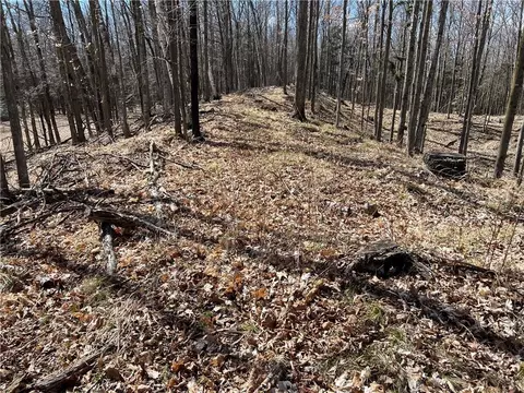 19 17 Acres Falstad Rd, Eland, WI 54427